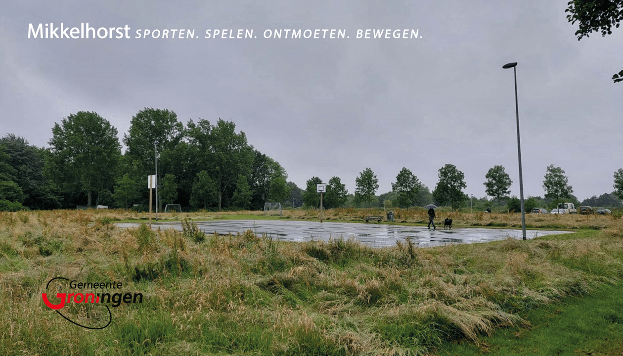 Mikkelhorst huidige terrein met hoog gras en een grijze beton terrein.png